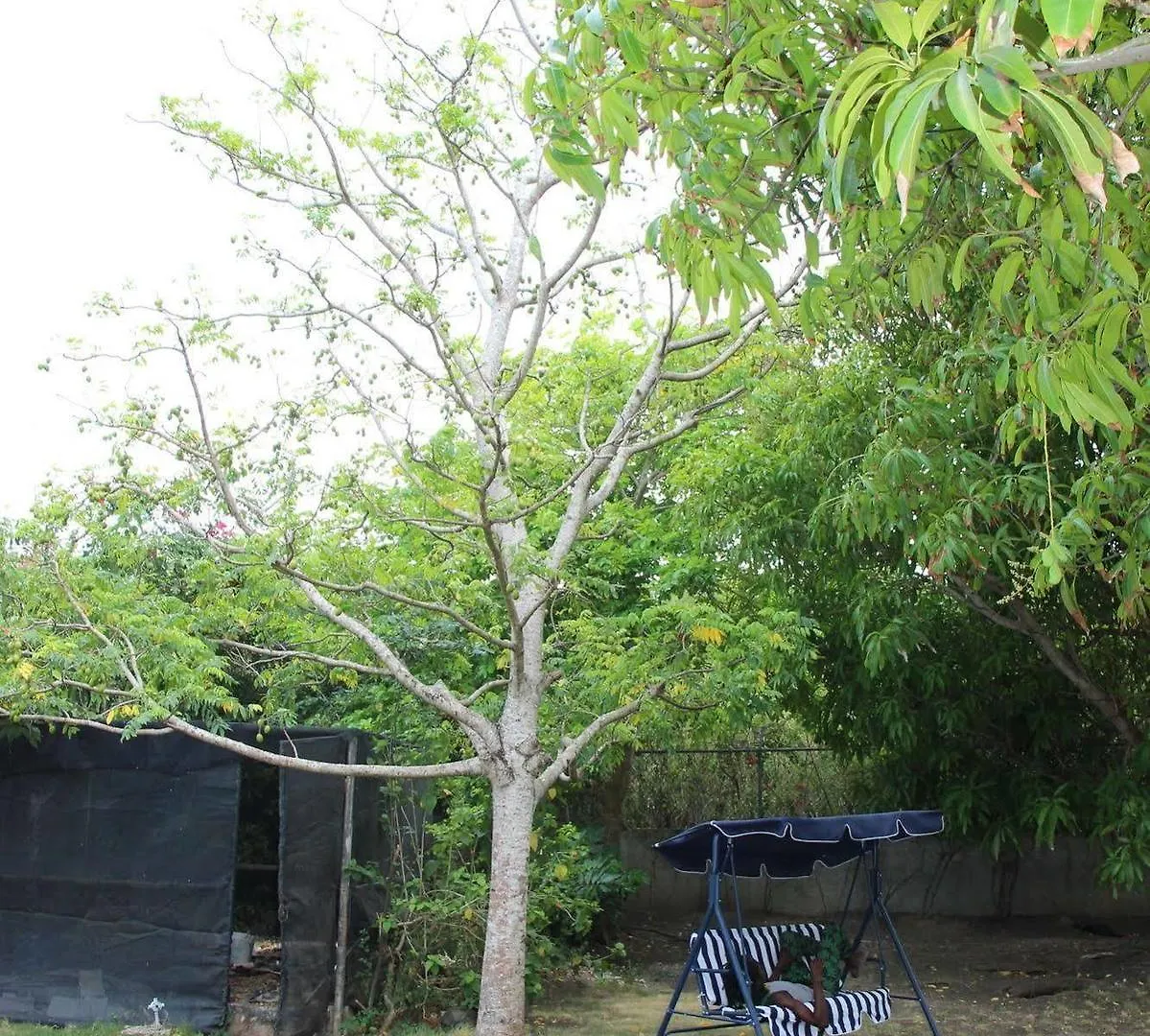 Hotbox Bud & Breakfast - Hostel Salem 4*,  Jamaica